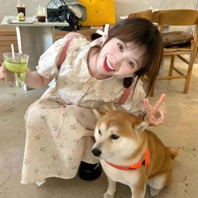 划桨去看海